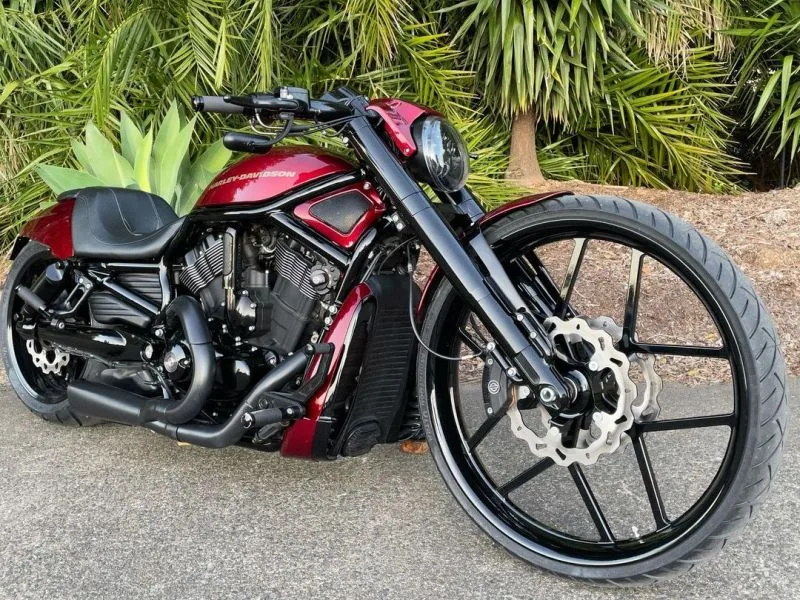 Harley-Davidson-V-Rod-Shoot-by-Quality-customs