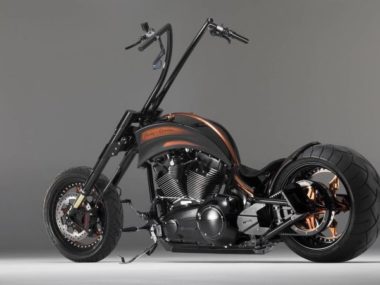 Harley-Davidson Softail Chopper 'Spirit of the eagle' by Bündnerbike