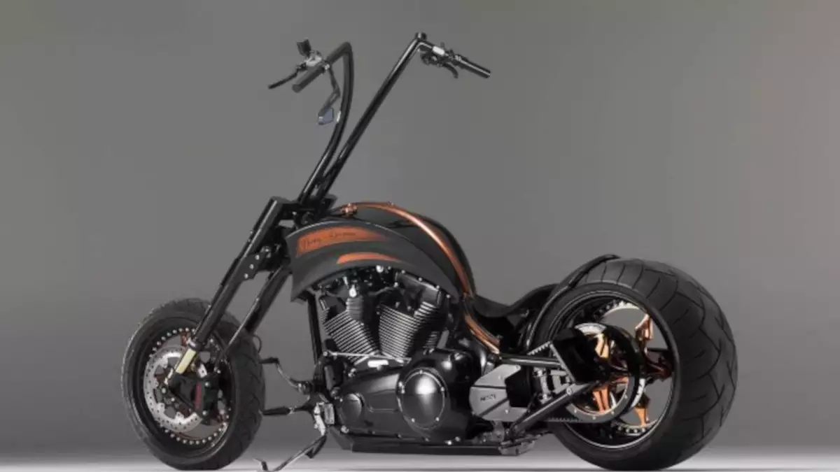 Harley-Davidson Softail Chopper 'Spirit of the eagle' by Bündnerbike