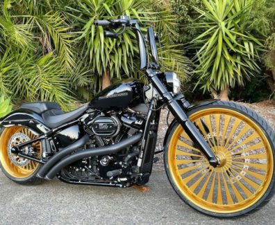 Harley-Davidson-Breakout-Arlen-Ness-by-Quality-customs-02