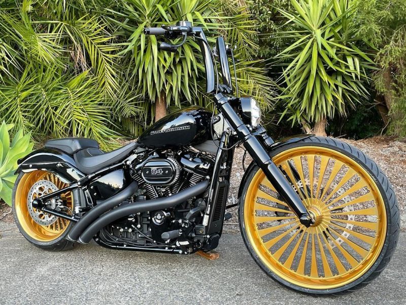 Harley-Davidson-Breakout-Arlen-Ness-by-Quality-customs