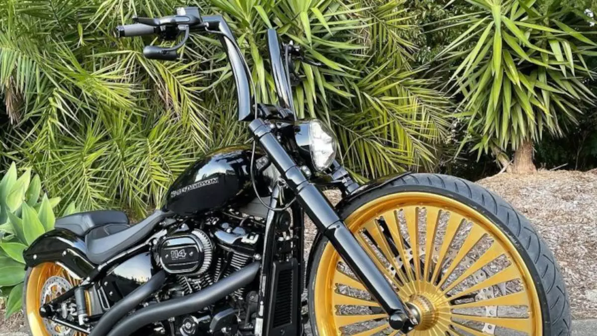 Harley-Davidson Breakout Arlen Ness by Quality customs