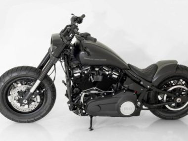 Harley-Davidson-Fat-Bob-Raptor-by-Bundnerbike-06
