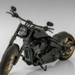 Harley-Davidson-Muscle-Breakout-Raptor-by-Bundnerbike