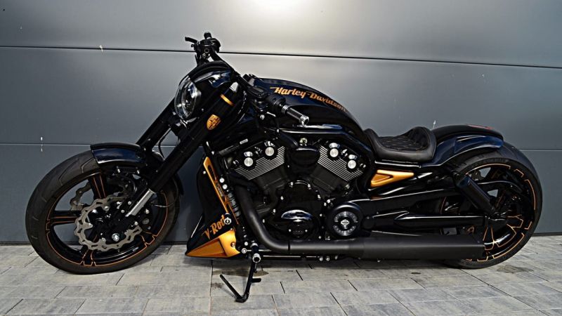 Harley-Davidson Night Rod ‘Porsche Gold’ by Fat Rod Customs