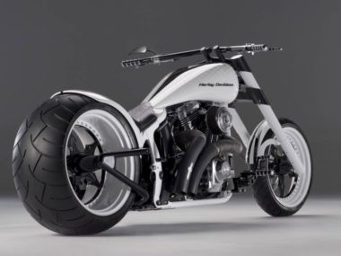 Harley-Davidson-Softail-Whitesnake-by-Bundnerbike-02