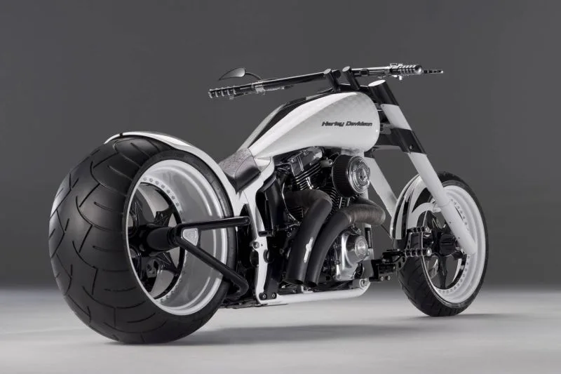 Harley-Davidson-Softail-Whitesnake-by-Bundnerbike