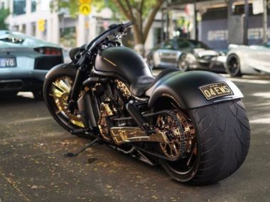 Harley-Davidson Hot-Rod Australia by DGD Custom