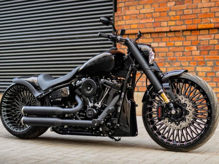 HARLEY-DAVIDSON MOTORCYCLES · CUSTOM BIKES