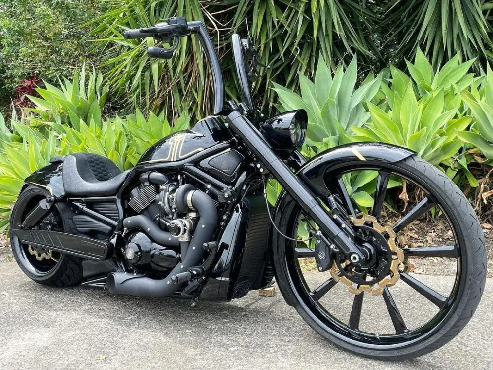 Harley-Davidson-Night-Rod-Turbo-by-Quality-customs