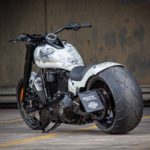 Harley-Davidson-Slim-300-Femme-Fatale-by-Ricks-Motorcycles