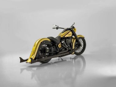 Harley-Davidson Heritage Softail 'Venom' by Bündnerbike