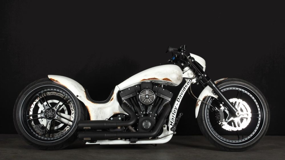 Harley-Davidson Softail 'Radical 110' by Thunderbike