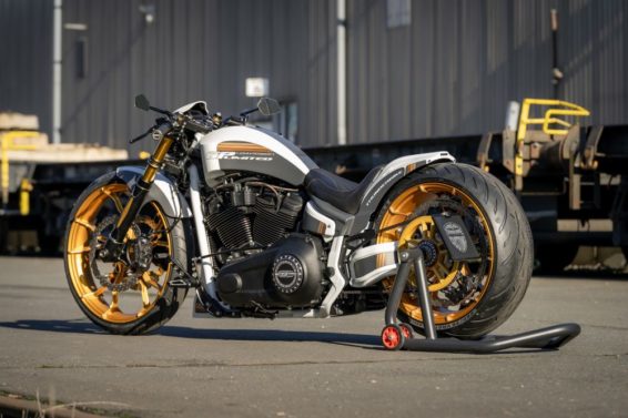 Harley-Davidson Softail GP-Limited 'Highflyer' by Thunderbike