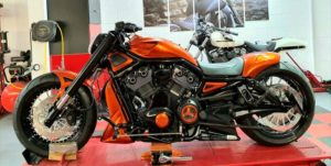 H-D-Dark-Rod-300-Prestige-by-Show-Bike-Fashion