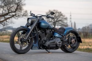 Harley-Davidson Fat Boy custom 'Viking force' by Thunderbike Harley-Davidson-Fat-Boy-custom-Viking-force-by-Thunderbike
