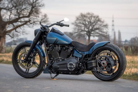 Harley-Davidson Fat Boy custom 'Viking force' by Thunderbike