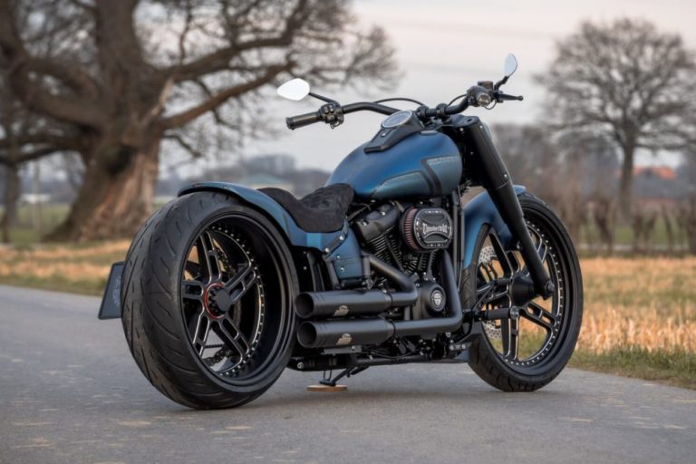 Harley-Davidson Fat Boy custom 'Viking force' by Thunderbike