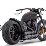 Milwaukee-Eight-114-Motor-The-Ultimate-Bundnerbike