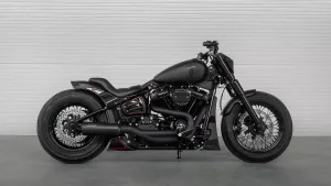Harley-Davidson-FXST-Softail-by-Killer-Custom