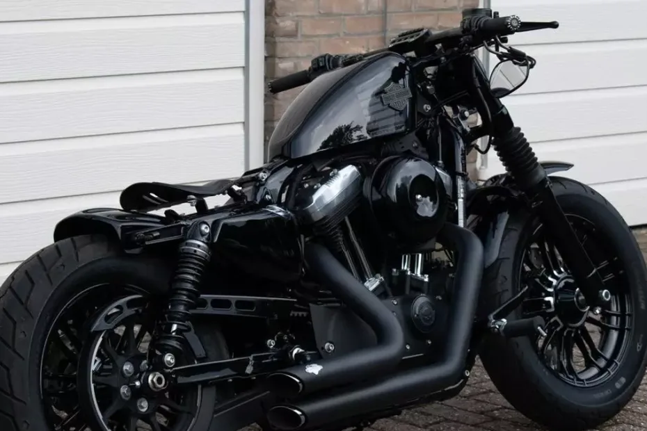 Introducing the Harley-Davidson Sportster Forty-Eight Owned by Raoul