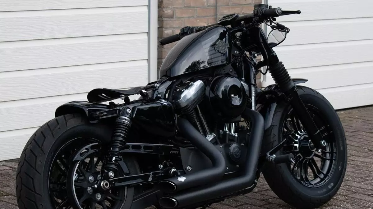 Introducing the Harley-Davidson Sportster Forty-Eight Owned by Raoul