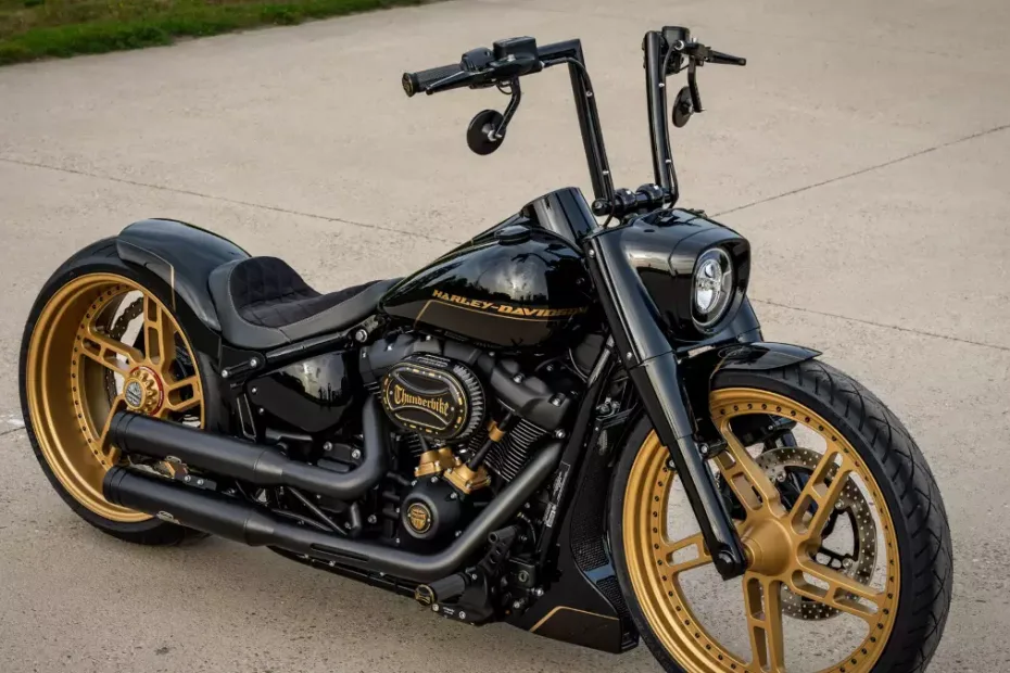 Golden-Lord-the-ideal-moniker-for-this-Harley-Davidson-Fat-Boy
