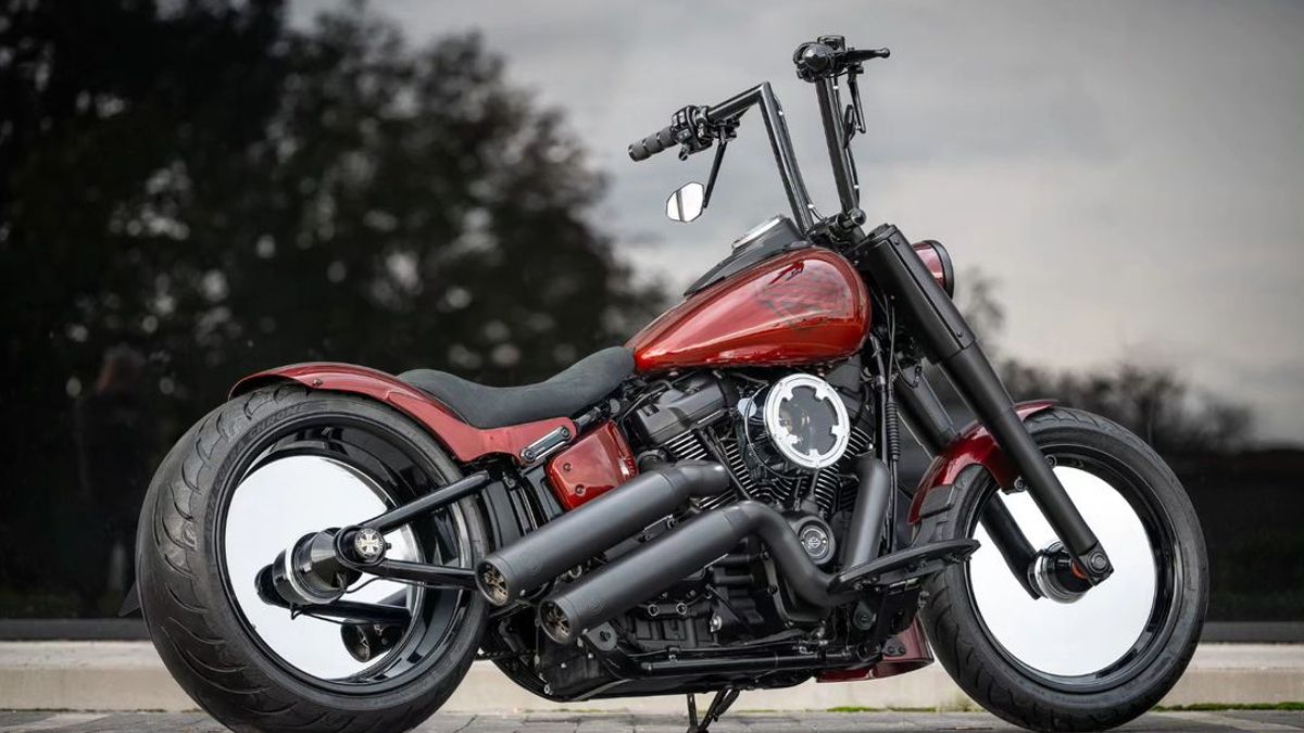 Harley-Davidson-Heritage-M8-by-BT-Choppers