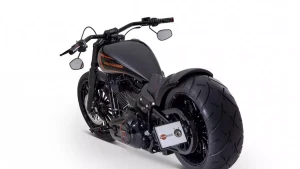 H-D-Breakout-Softail-Dr.-Jekyll-Mr.-Hyde-by-Bundnerbike