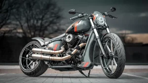 2020-HD-FXBB-Street-Bob-107-SS-by-BT-Choppers