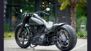 Harley-Davidson-Softail-Fat-Boy-Raptor-Force-by-Thunderbike