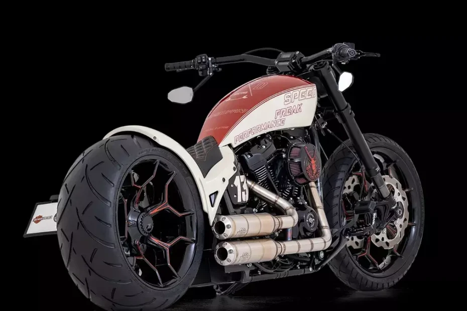 Harley-Breakout-Speed-Freak-by-Bundnerbike