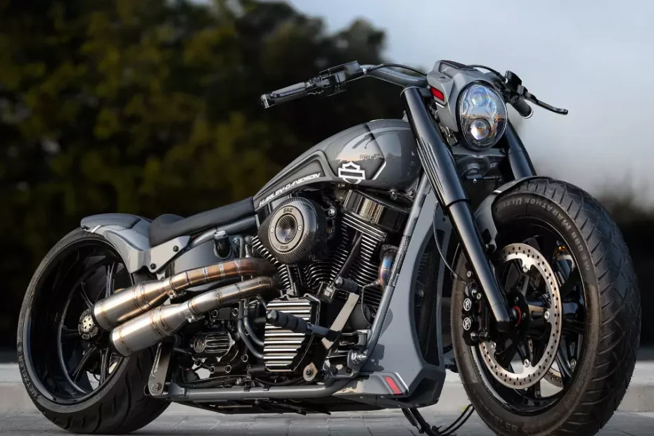 H-D FLSTC Heritage Custom by BT Choppers