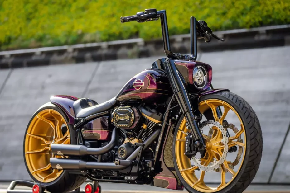 Harley-Davidson Softail Fat Boy 114 'Thanos' by Thunderbike