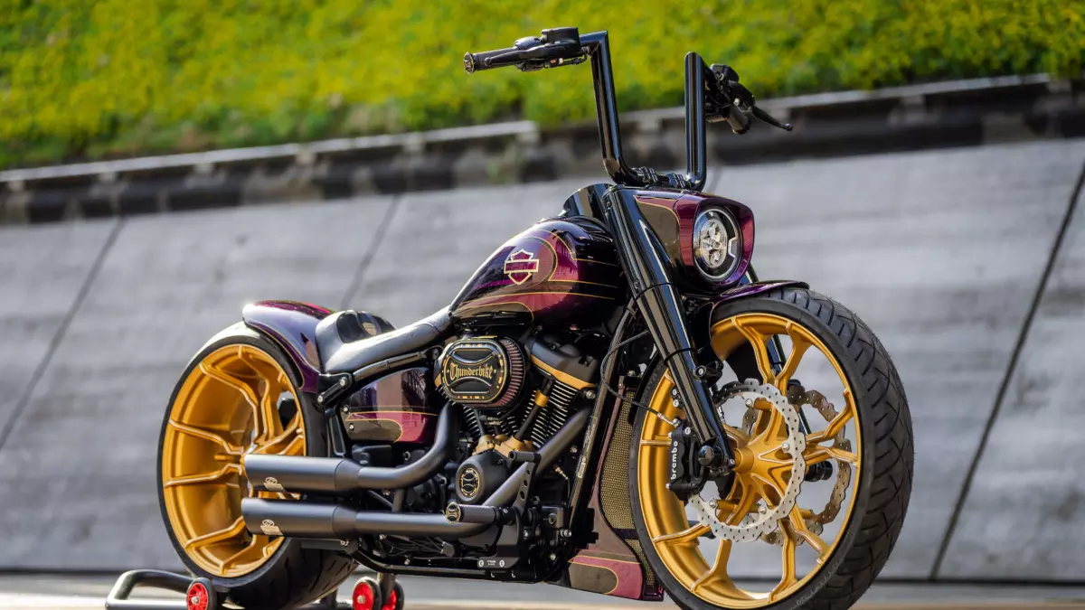 Harley-Davidson Softail Fat Boy 114 'Thanos' by Thunderbike