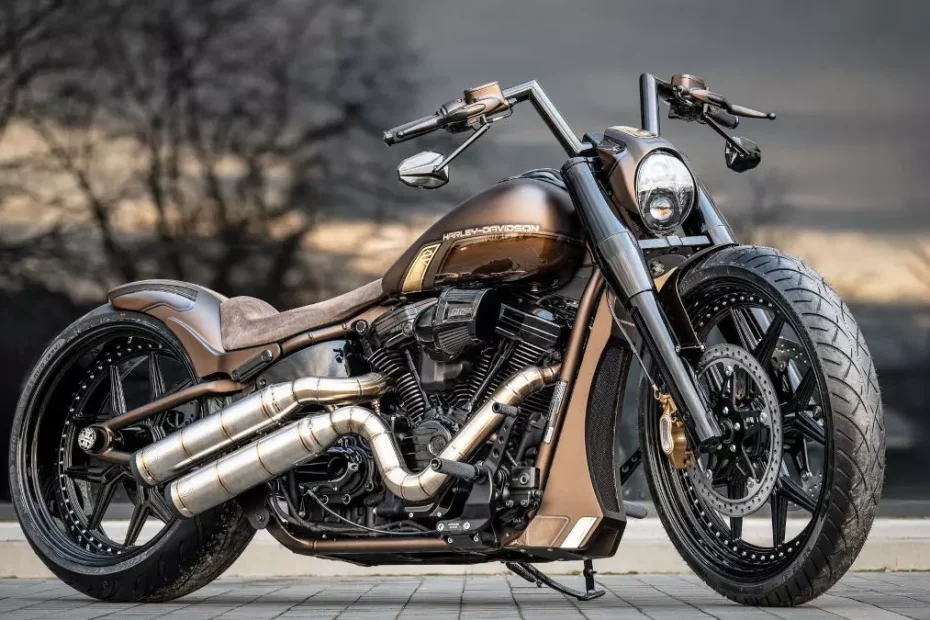 Harley-Davidson Softail 'Brown Ignorant Series' by BT Choppers