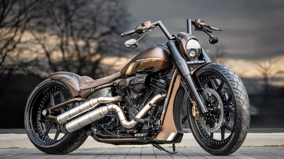 Harley-Davidson Softail 'Brown Ignorant Series' by BT Choppers