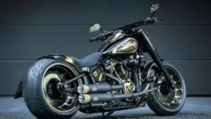 Harley Fat Boy 131 Gold Edition – Power and Exclusivity 1