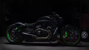 Night Rod from Bulgaria – A Picasso Masterpiece