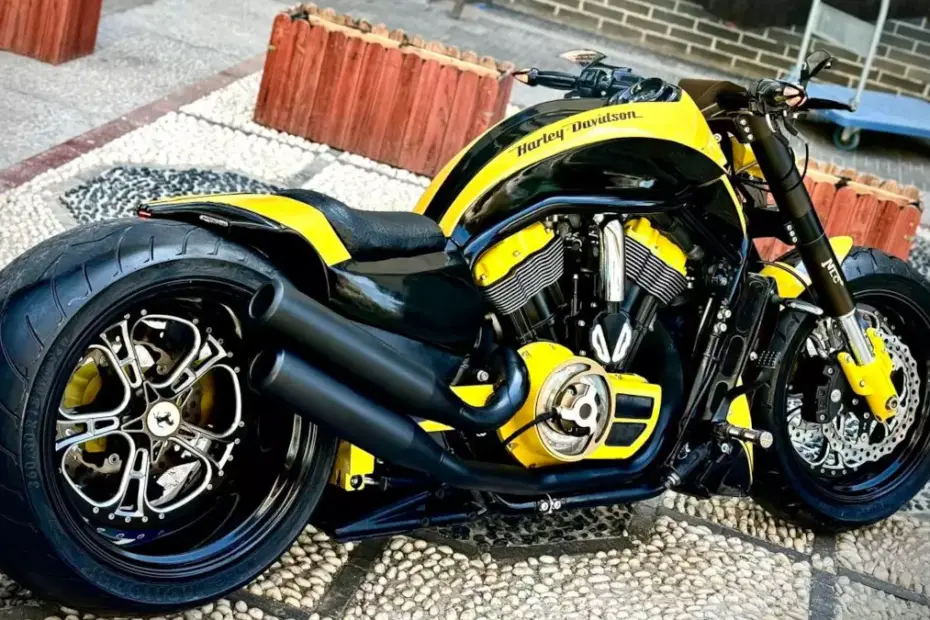 Custom Harley-Davidson Night Rod by MID Night Thailand