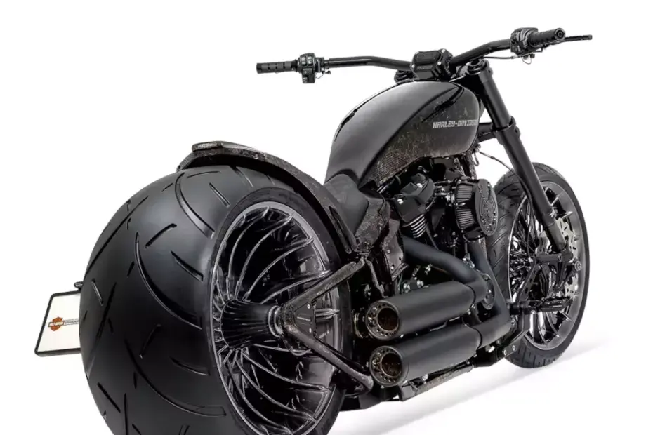 Harley-Davidson Cruiser by Bündnerbike_ BRONX BRUTE