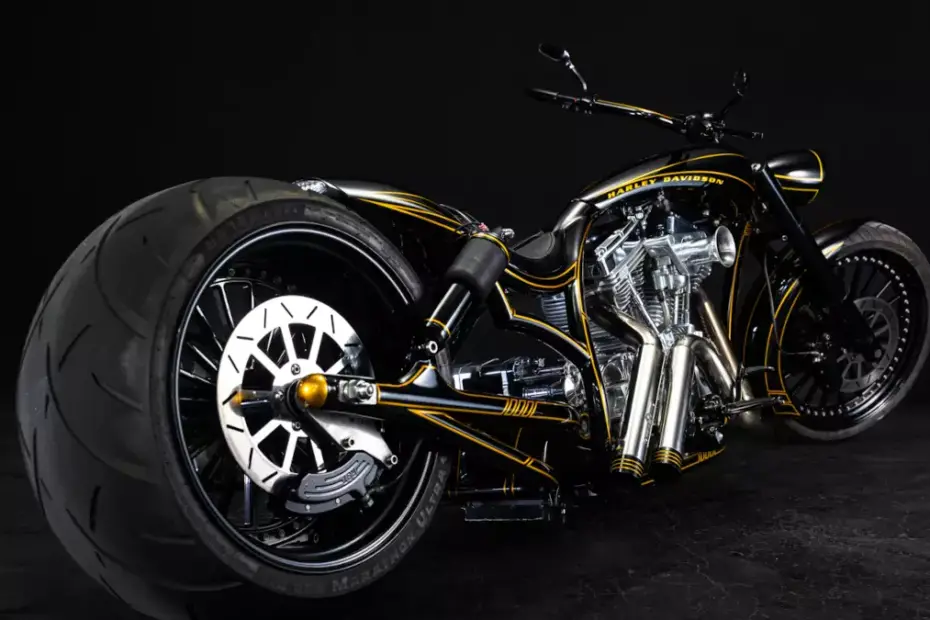 TwinCam Dyna Custom 'Tiger' by Bad Land