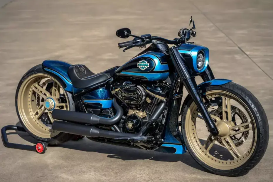 Harley-Davidson Fat Boy – Half Hundred by Thunderbike