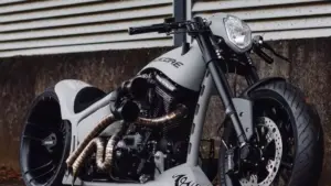 Walz Hardcore Cycles – Minimalism, Power, and Attitude Walz Hardcore Cycles – Minimalism, Power, and Attitude